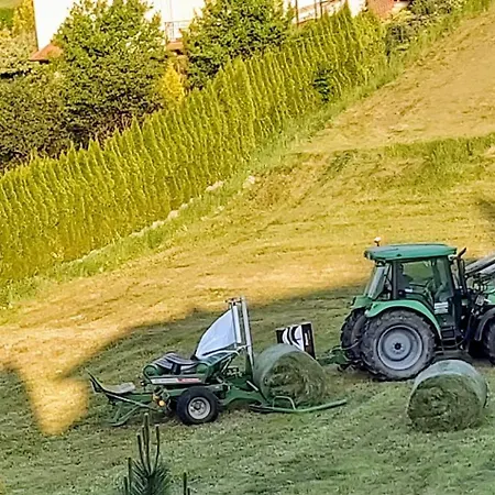 Dom Pod Grusza Apartamento