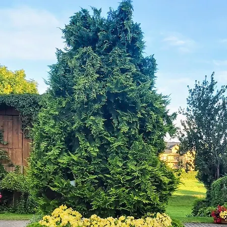 Dom Pod Gruszą Apartament Chmielno