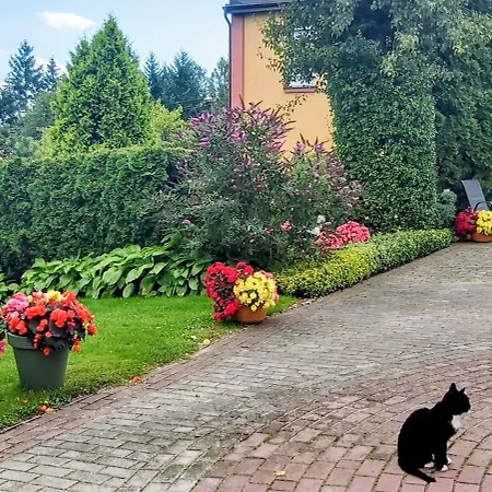 Dom Pod Gruszą Apartament