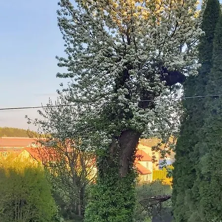 Dom Pod Grusza Lägenhet *
