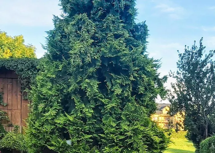 Dom Pod Grusza Apartmán Chmielno